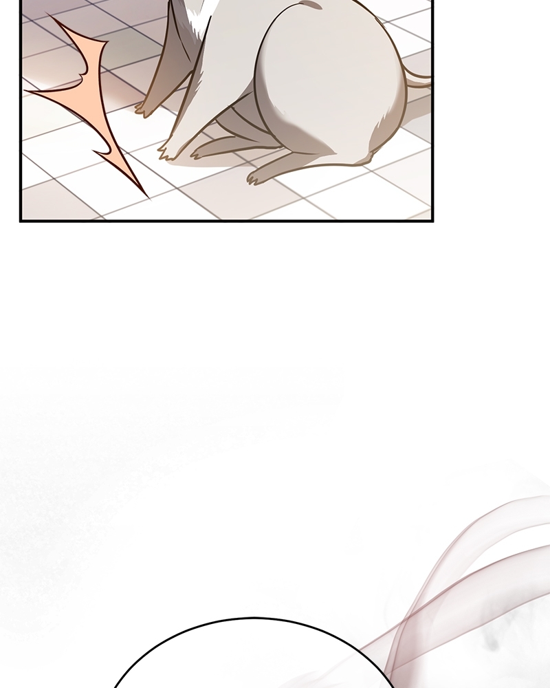 Shadowless Night 20 (29)